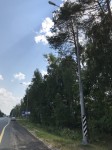 Участок автомобильной дороги А108, д. Аленино, Владимирская область